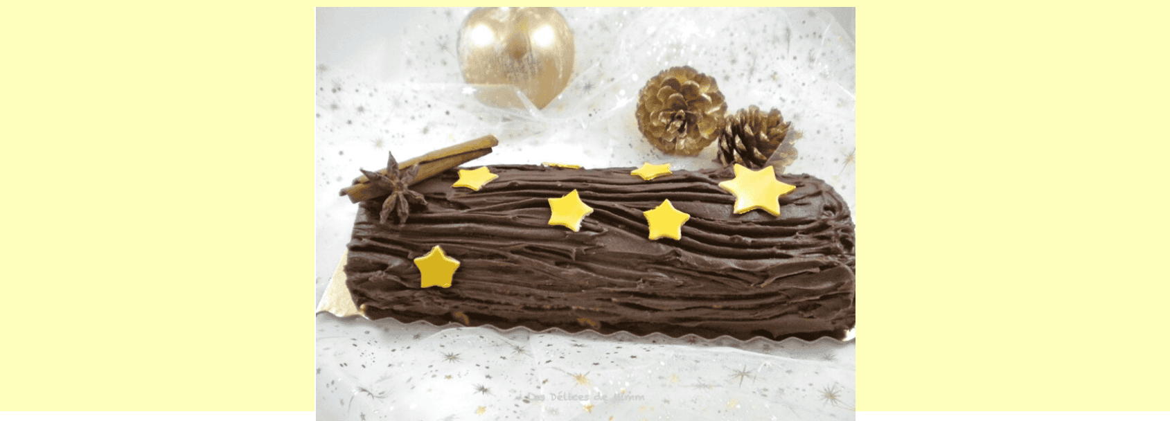 Bûche de Noël Facile et Simple